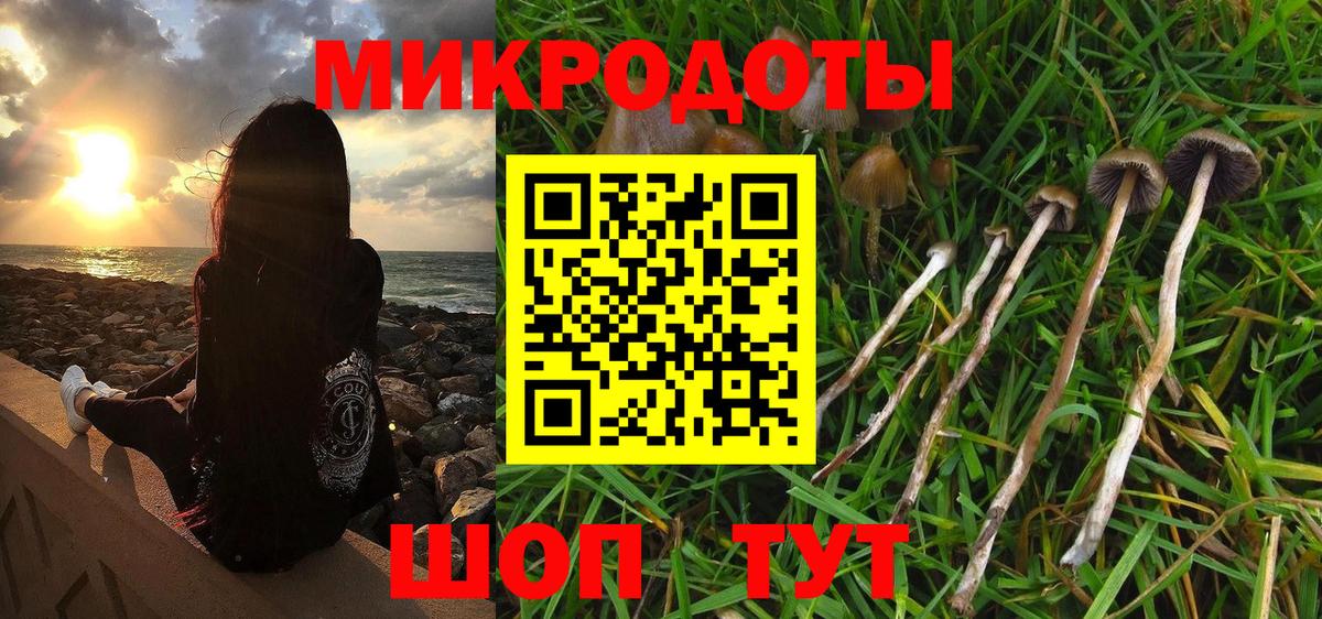 Галлюциногенные грибы MAGIC MUSHROOMS  Псилоцибиновые грибы Psilocybine cubensis  Корсаков  Вход с VPN 